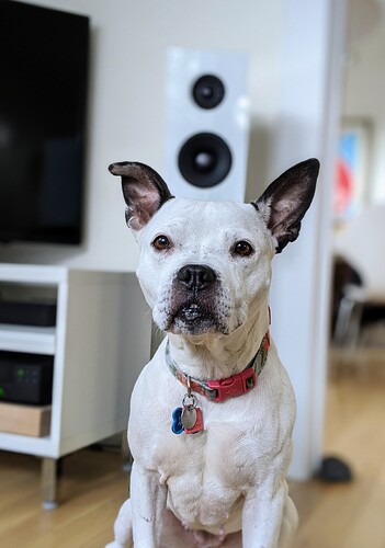 00100lrPORTRAIT_00100_BURST20200112130836152_COVER