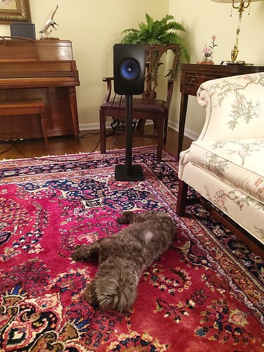 15873446952836143640714508262137