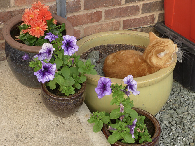 37328DDD-52F7-4205-A996-53B9E4E342C3_1_201_a