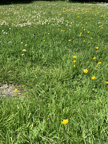 CF90DD9F-484E-4BFD-8DB4-BB504AD9856F