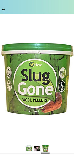 Screenshot_20210627-142223