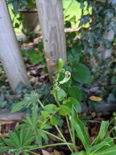 PXL_20210702_082954970