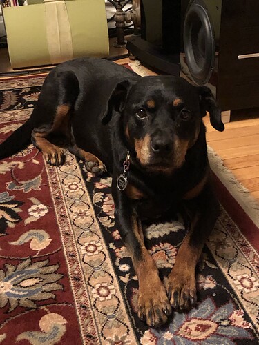 jyxlUw0VTD2O09fVQG4L3g