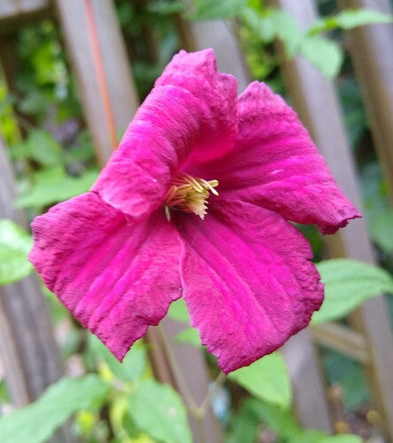 IMG_20210630_193432126~2