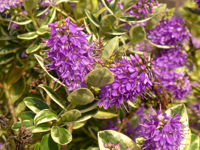 62EEBD32-3B60-40DE-9580-408317204BD8