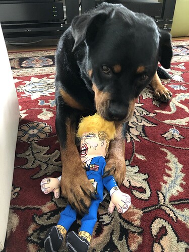 7HdD0WgyRRanfjozWr%EF%BF%BDw