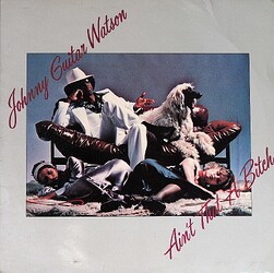 Ain't That A Bitch (1)