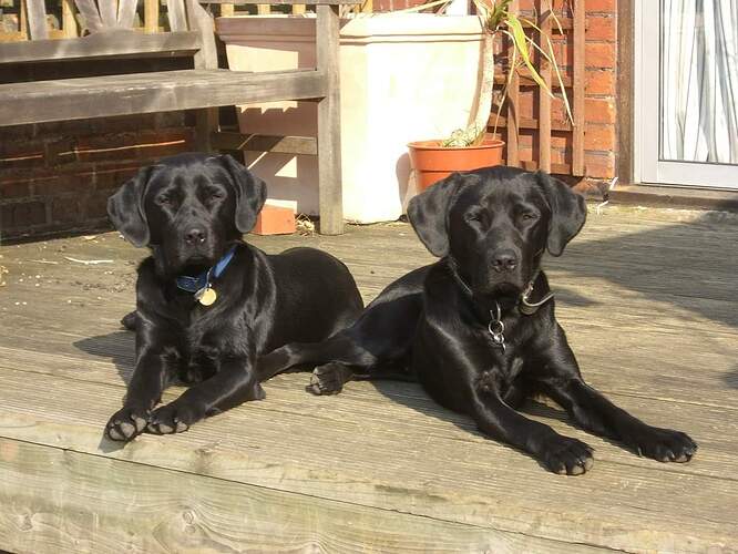 FB_IMG_1559668910423