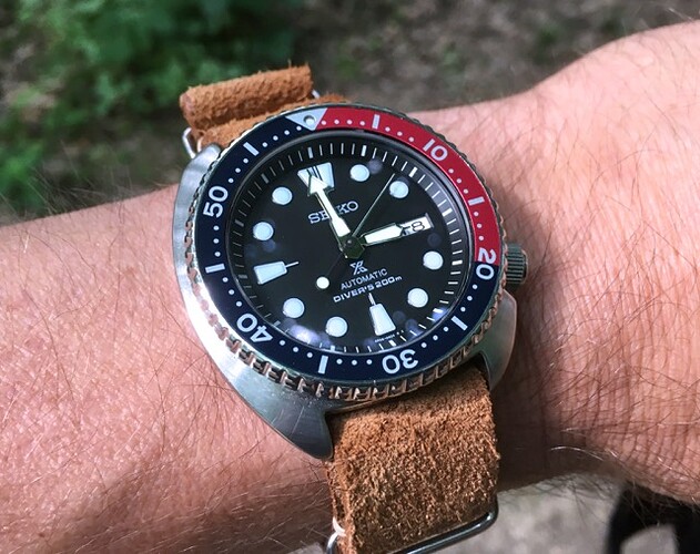 Seiko%20Turtle1