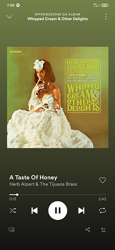 Screenshot_2021-08-17-07-59-01-772_com.spotify.music