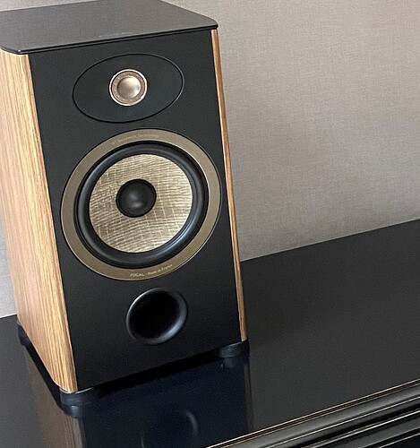 Focal 906 with rubber feet