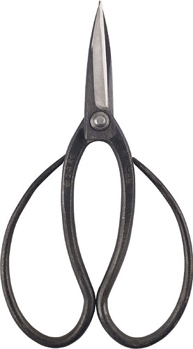 taira-kubo-scissors