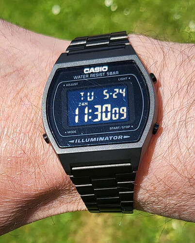 casio1