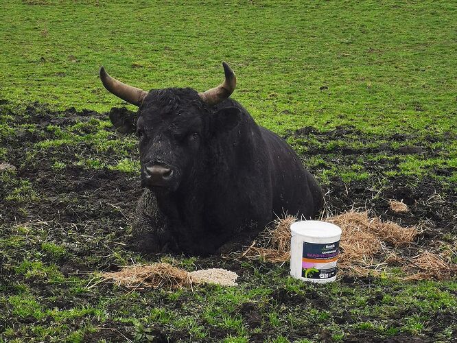 412290FC-4156-42C1-A7FB-FE26BB09B0B9-8308-0000074E5B5154A5