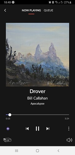 Screenshot_20211019-184034_Roon