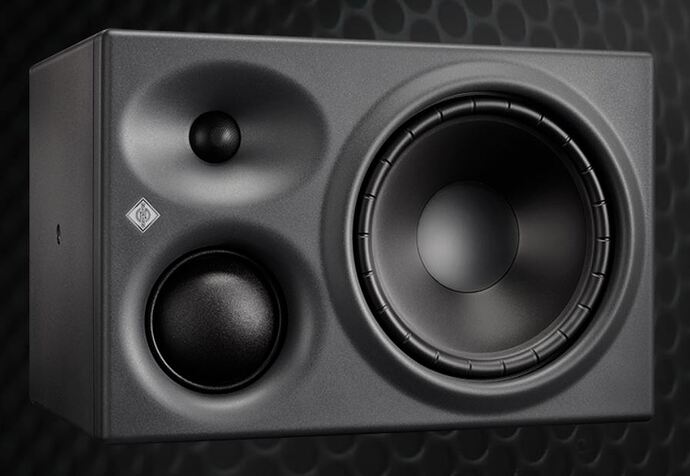 Neumann KH310A