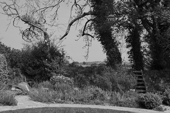 489A2808normal-BW