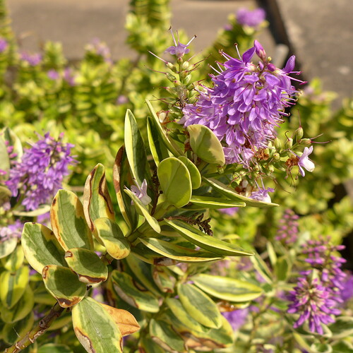 CB7913A9-A0F7-4864-97CE-BCA3040D7D4F