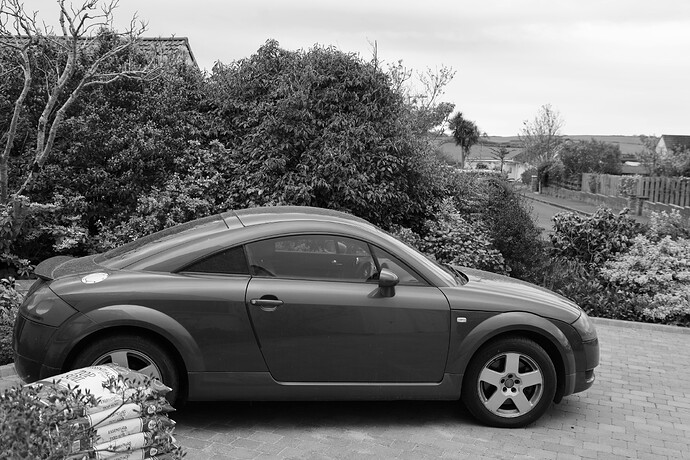 489A2822-normal -BW