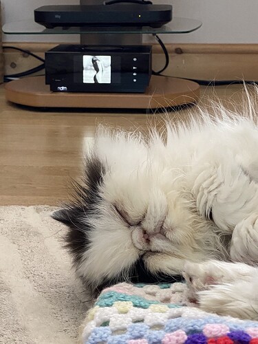 D74C3541-45C3-48AD-9450-F77D5D7A118F_1_105_c