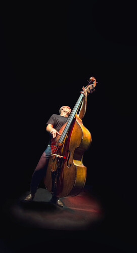 Avishai Cohen - Jazz bassist, singer & composer_2022627192032