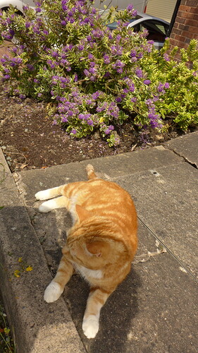 76BF013A-F054-445A-81AE-ECEF92EF3CCB