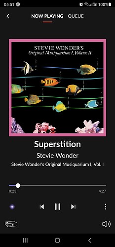 Screenshot_20220117-055156_Roon