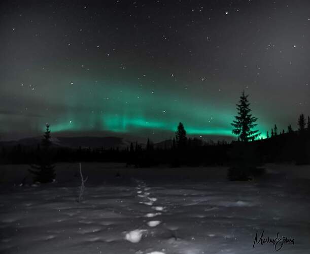 75398133_2926991877335598_9060895670314991616_o