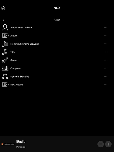Asset UPnP iPad View