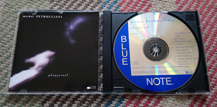 michelpetruccianiplaygroundcd