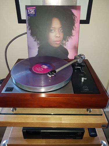 15772800472225485274687074237749