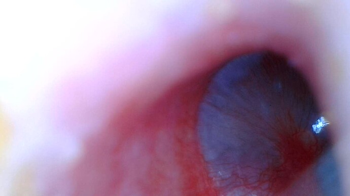 WIN_20260226_11_00_14_Pro