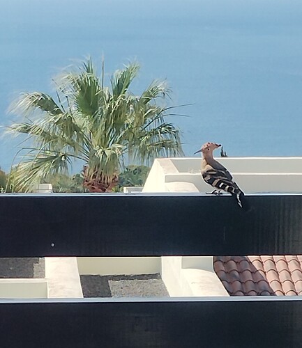 IMG_20250615_105610273~2