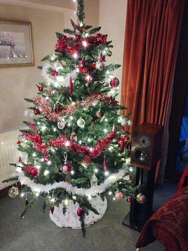 IMG_20231208_162947934_BURST000_COVER