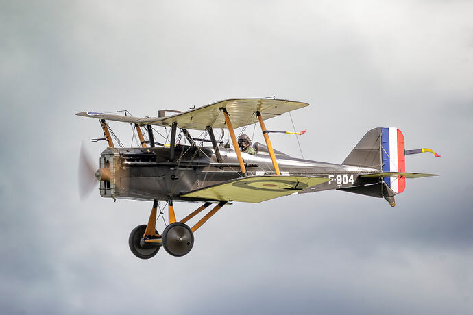 SE5a