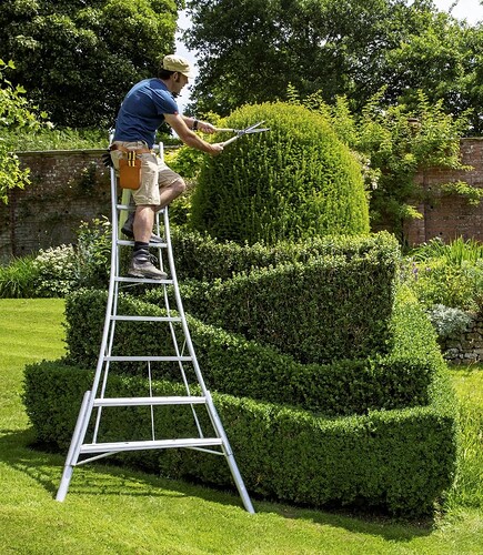 Screen Shot 2023-07-15 at 12.34.46