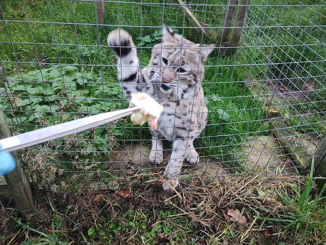 IMG_20251106_091738606