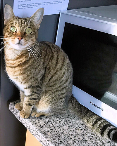 Nala