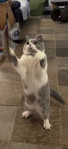 Screenshot 2026-03-03 at 18.37.26