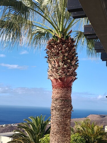 IMG_20250930_093717639_HDR