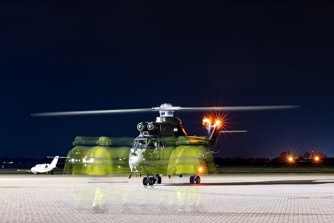 Puma photobomber (1 of 1)