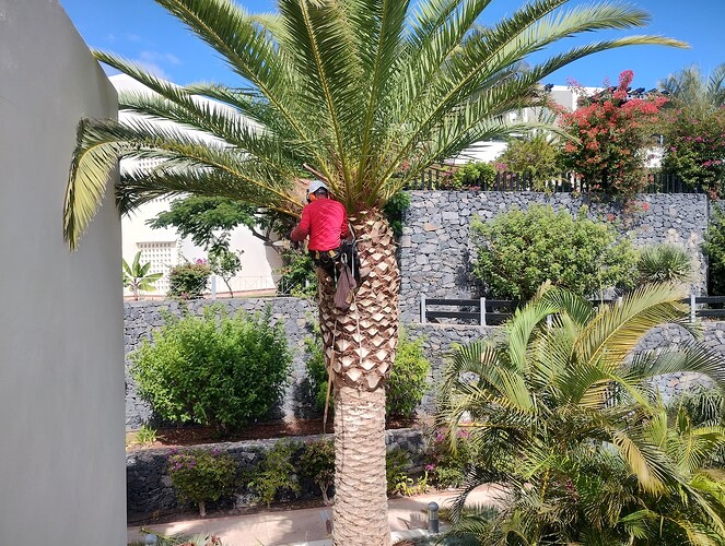 IMG_20250929_122002848_HDR