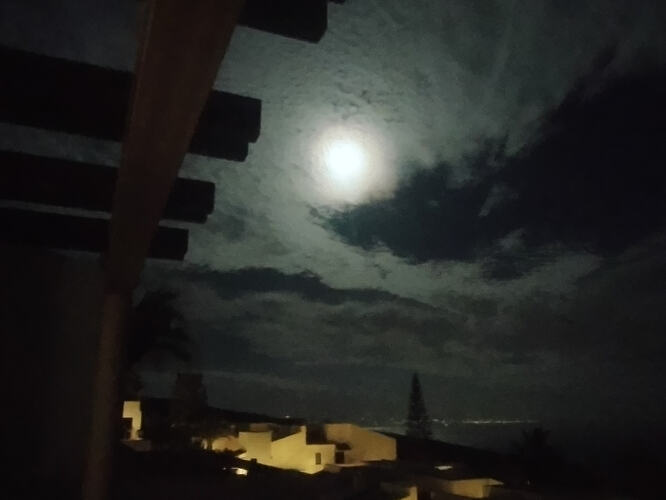 IMG_20251204_195419349