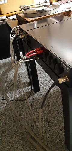 20230418_001116_resized
