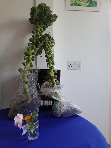 IMG_20251224_132726577_MFNR