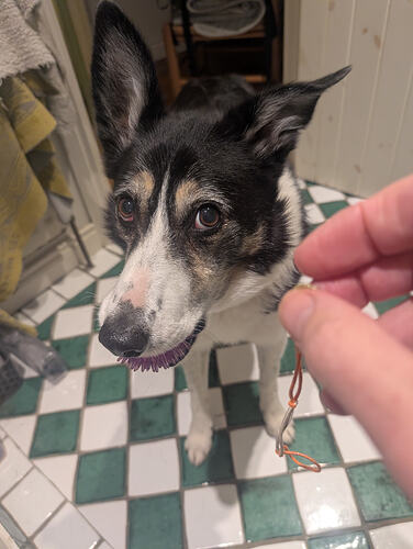 PXL_20251202_171323930