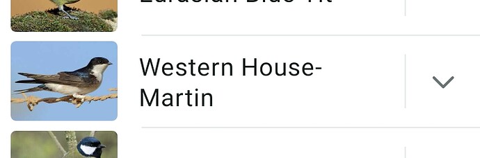 Screenshot_2025-04-30-19-02-04-772