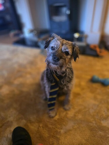 att.1F0UqdNqGH8vXyUEUmrSJ3-cUthzUNAMR6g8OU3VX2w