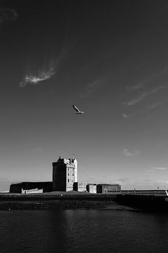 IMG_7532