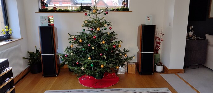 IMG_20231206_094129535